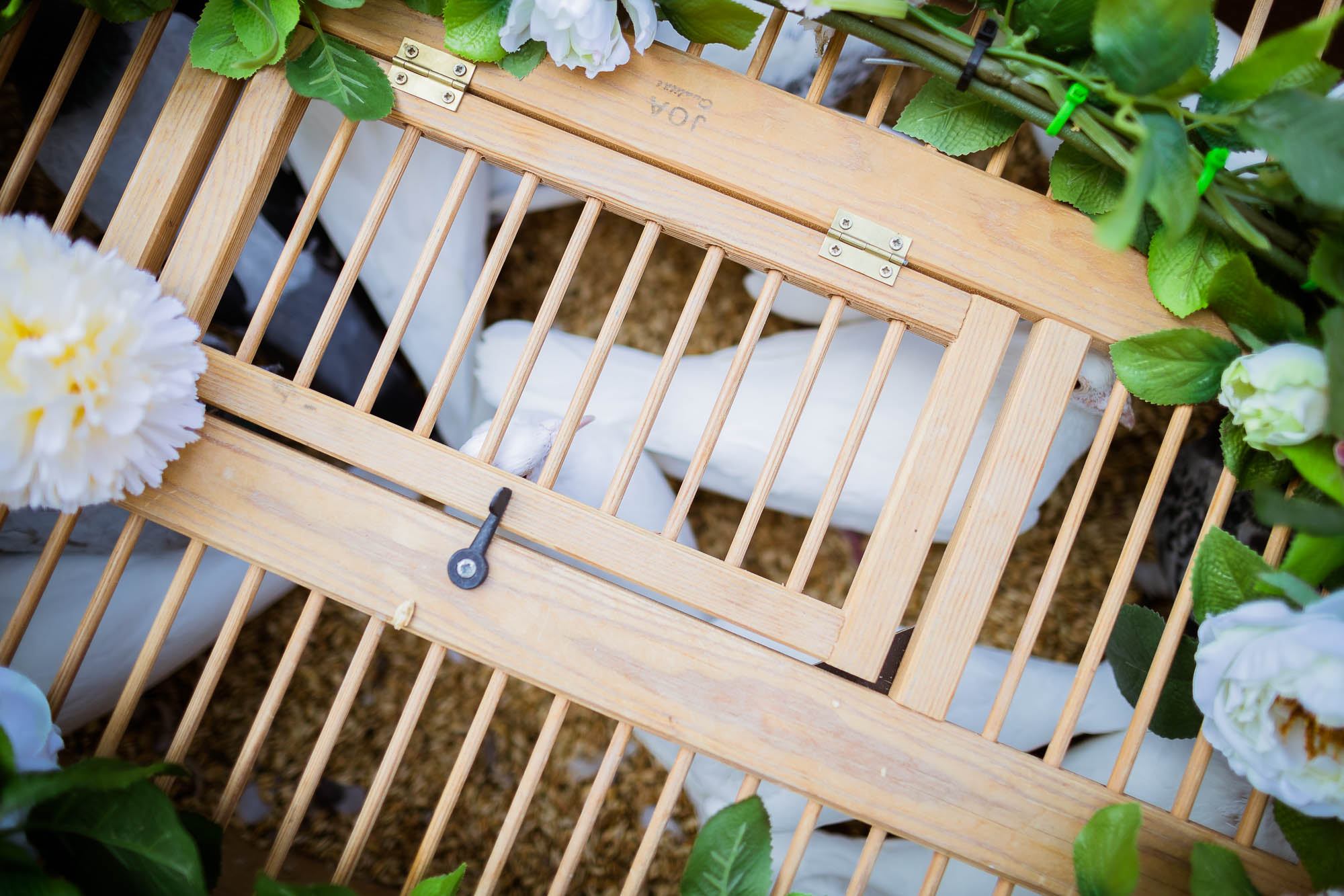 Export x3 1DX23051 Hochzeit 2020 Muriel & Trevor